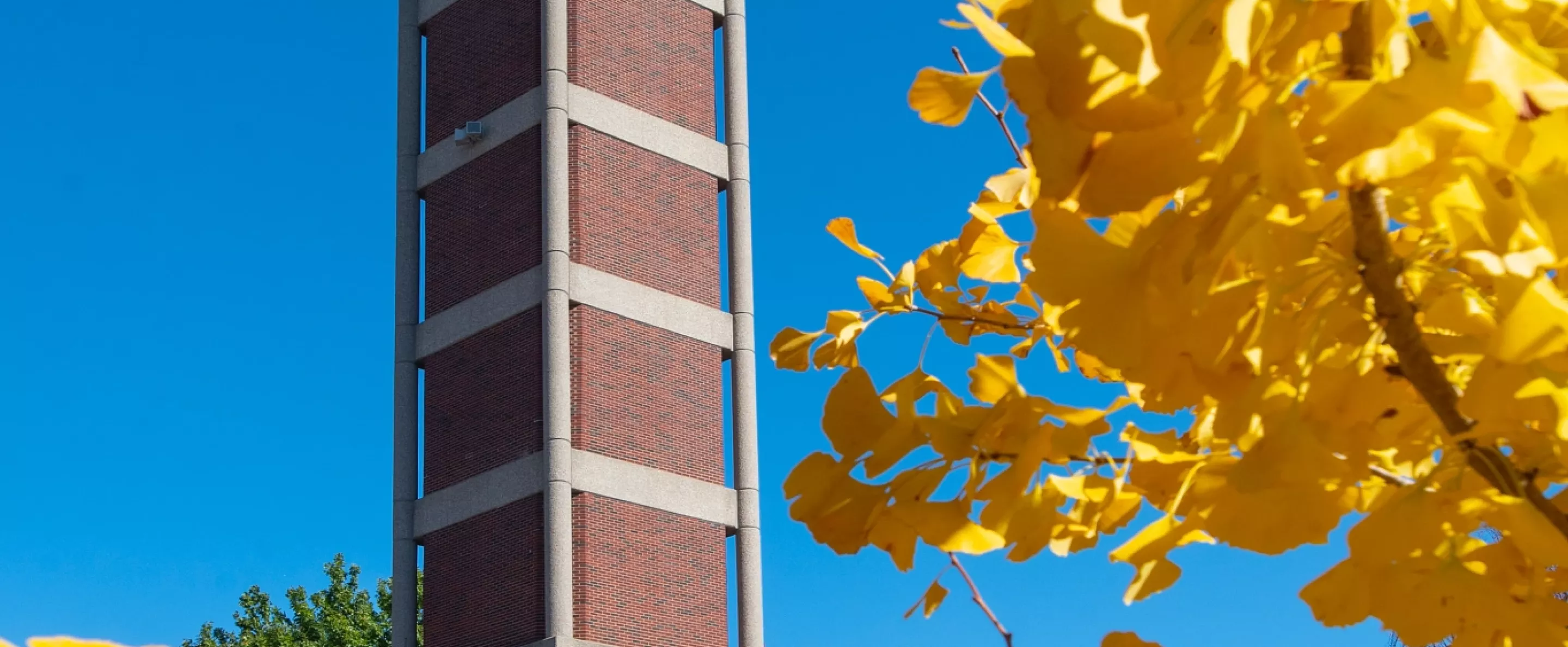 Fall view of the SAC clock tower with foliage