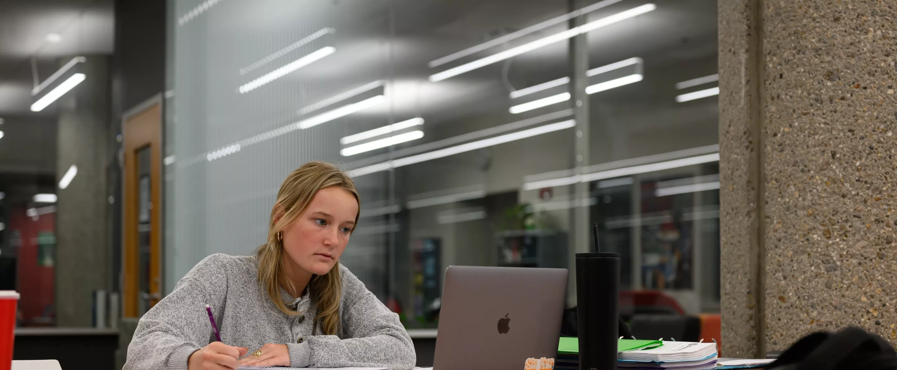 Students working in Ekstrom Library.